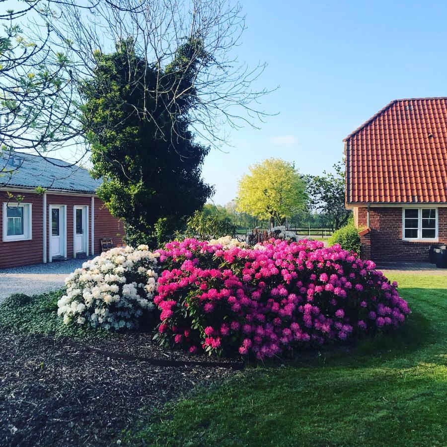 B&B Saga Herning Kültér fotó